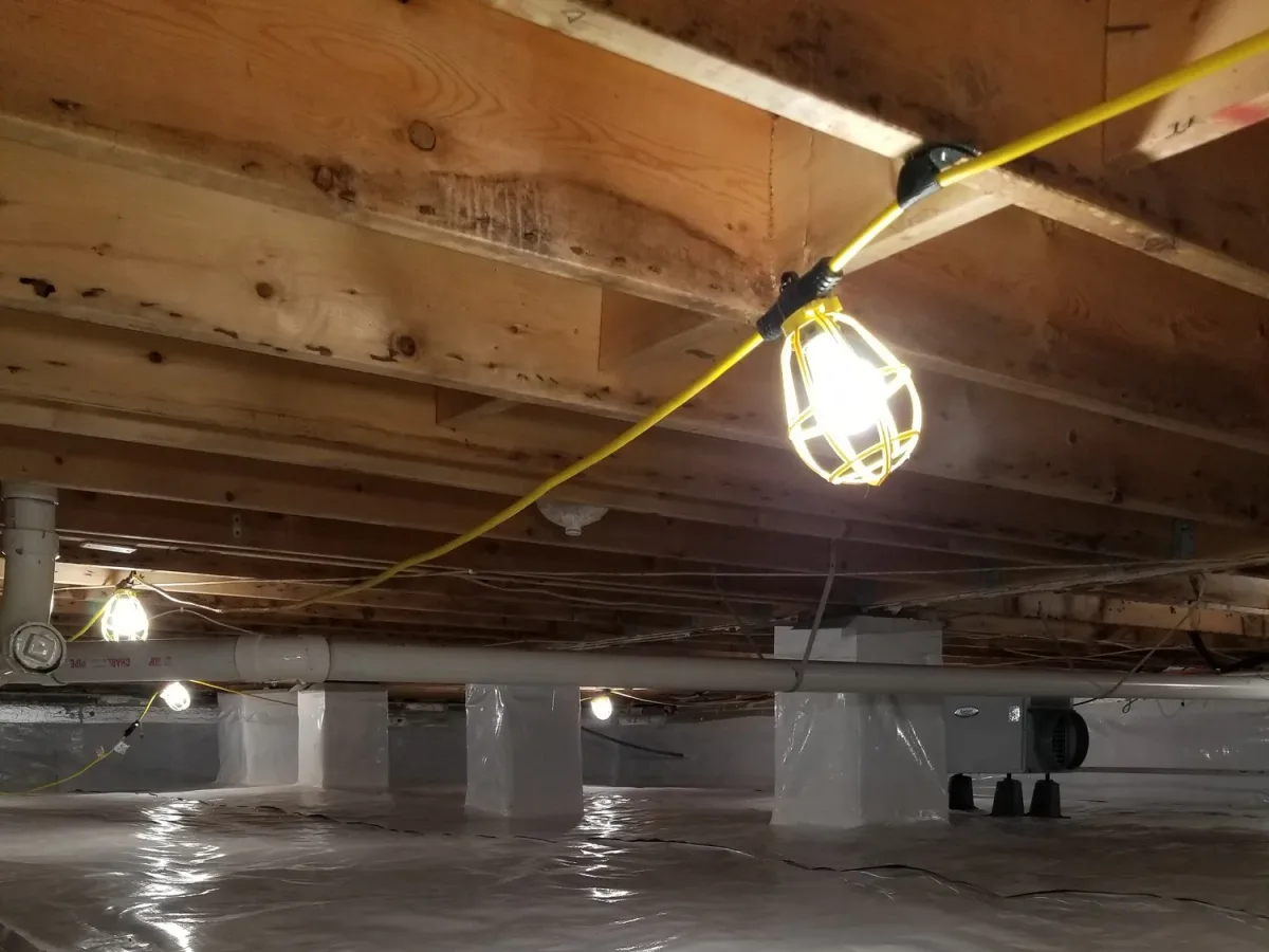 12 mil reinforced vapor barrier after mold remediation and French drain — Ed Residential LLC, Trappe, MD